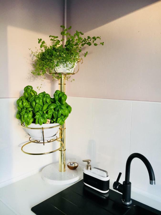 Apartamenty Ogrodowa - Lublin 700 Esterno foto